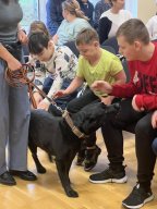 Kaanis-teraapia tund