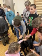 Kaanis-teraapia tund